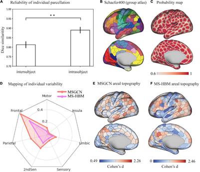 Unrevealing Reliable Cortical Parcellation of Individual Brains Using Resting-State Functional Magnetic Resonance Imaging and Masked Graph Convolutions